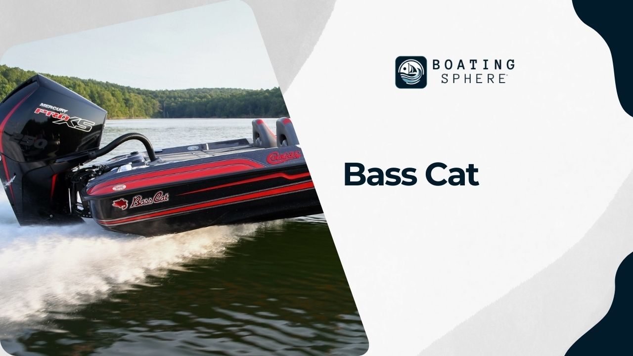 Bass Cat