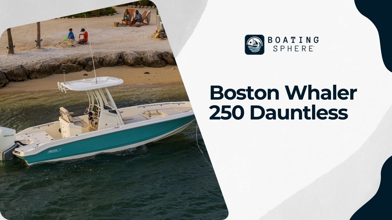 Boston Whaler 250 Dauntless